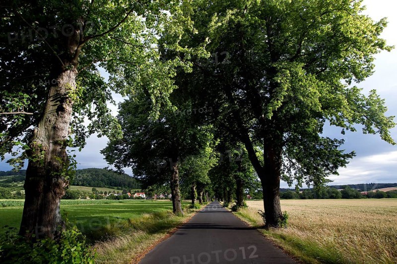 Road in the Werratal