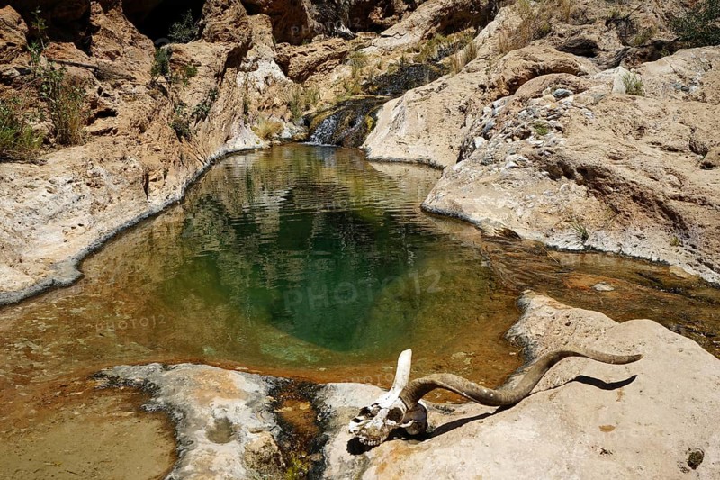 Kudushaedel in front of natural water basin