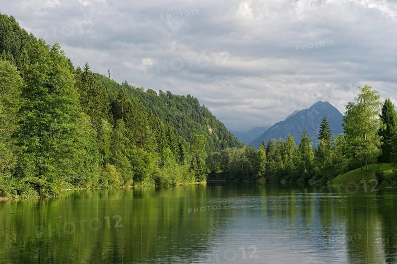 Auwaldsee near Fischen