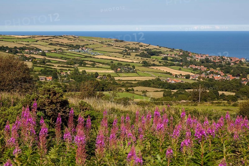 Robin Hood Bay