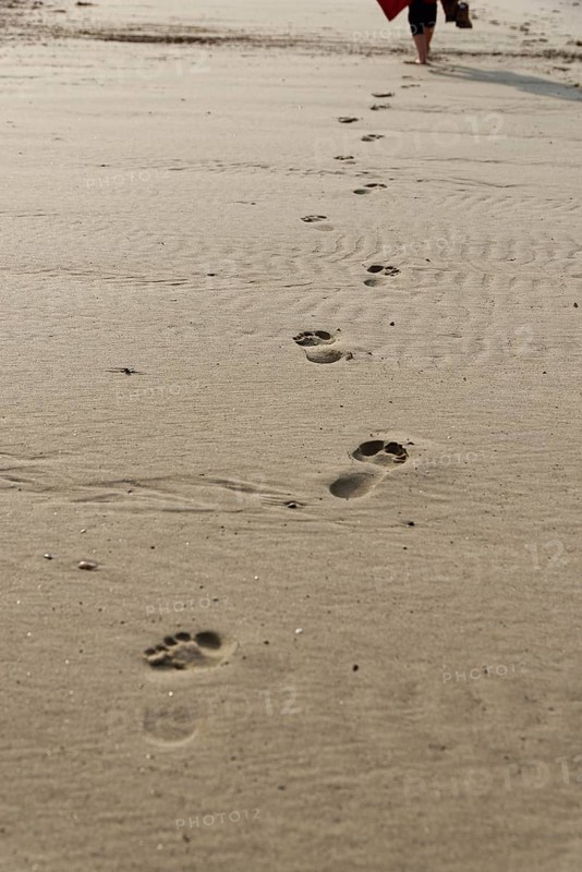 Footprints in the sand