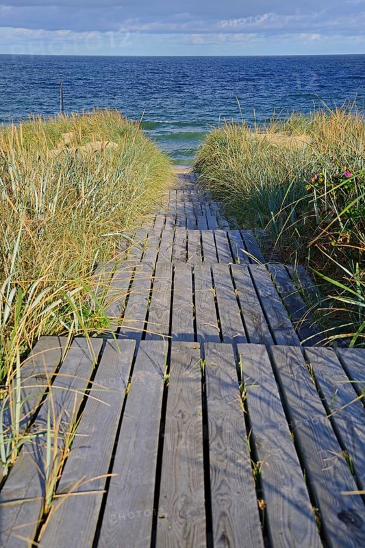 Access to the beach through the dunes of Rantum