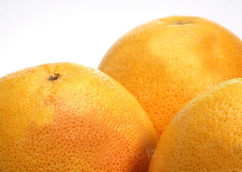 Citrus paradisi