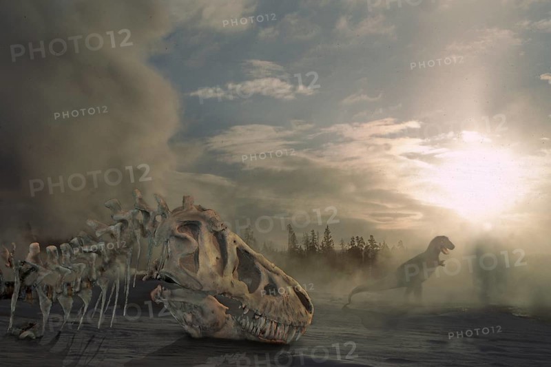 Tyrannosaur