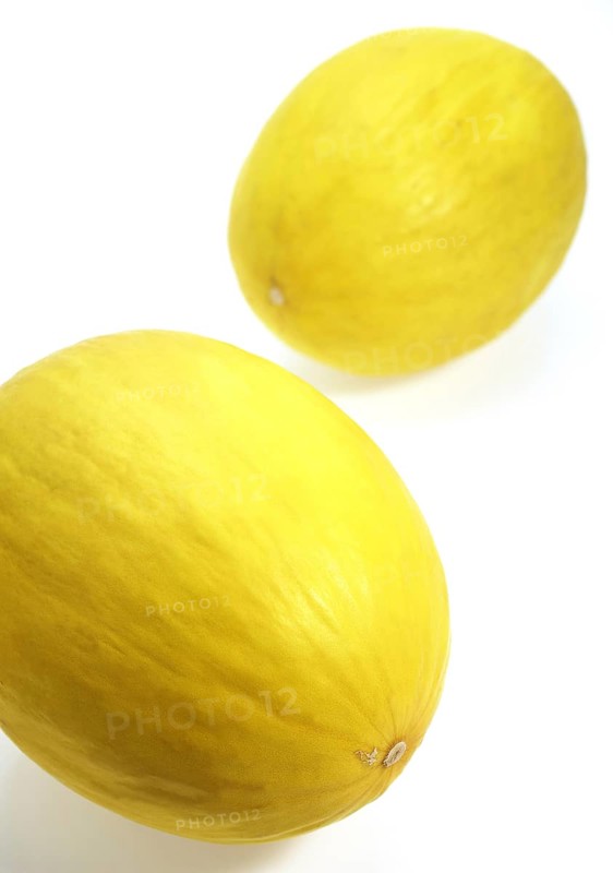 Yellow Spanish Melon