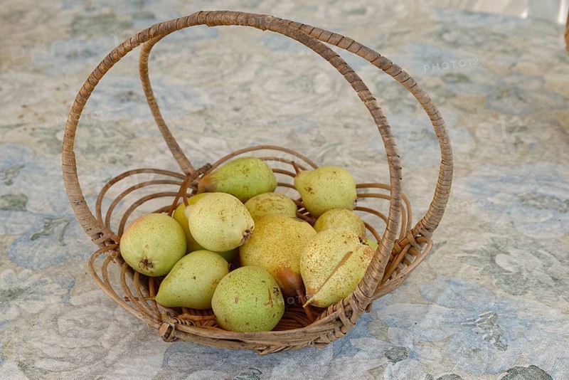 European Pear