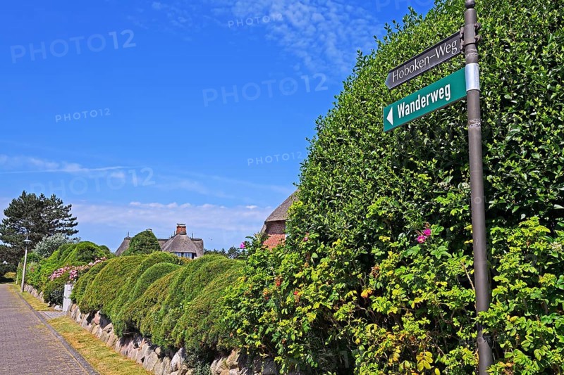 Luxury villas in Hobokenweg in Kampen