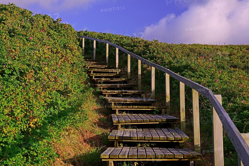Access to the beach through the dunes of Rantum