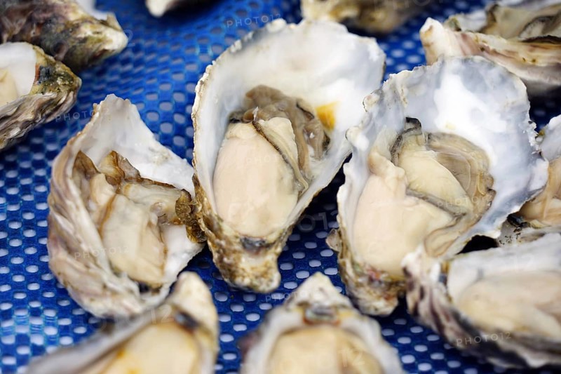 Namibian oysters