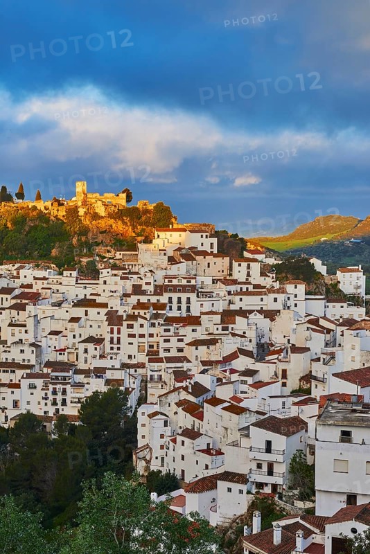 Casares