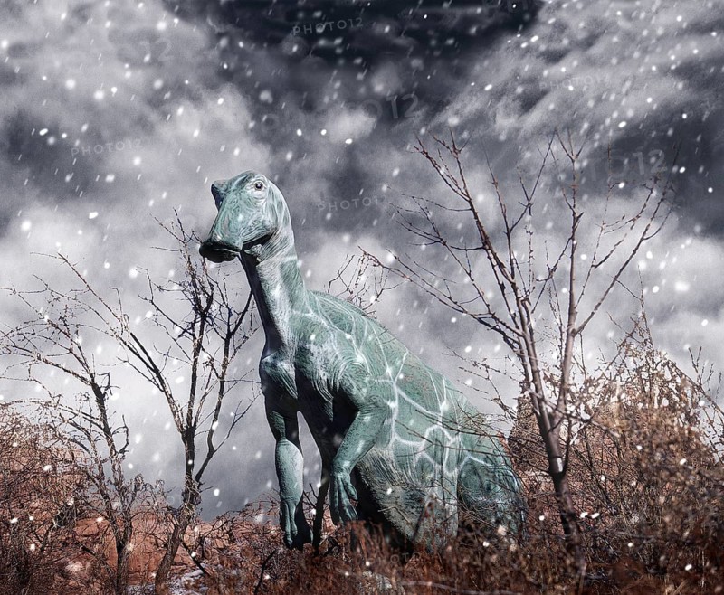 Anatosaurus