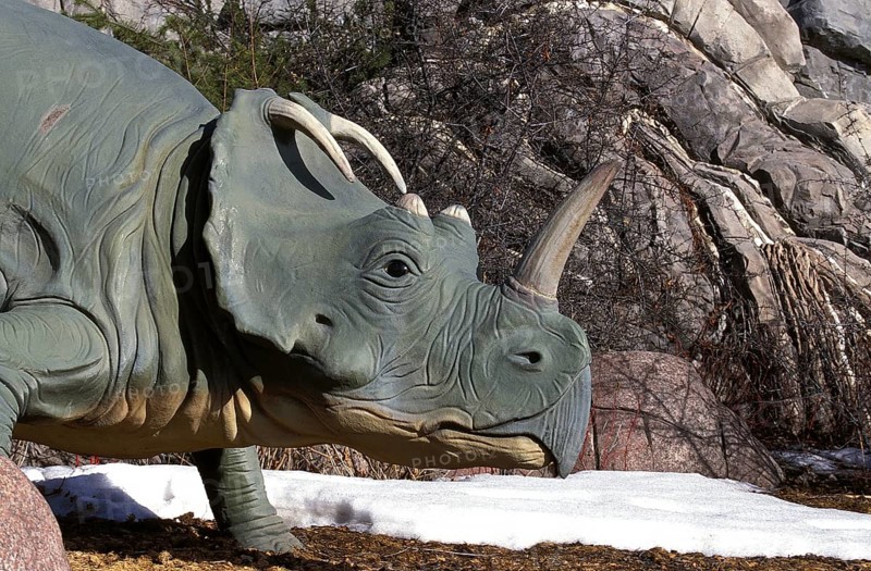 CENTROSAURUS