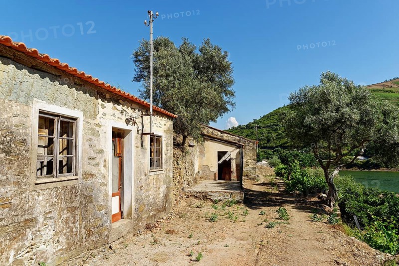 Ruinous house