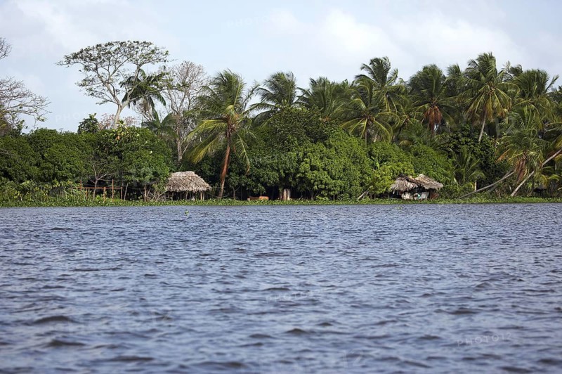 ORINOCO DELTA IN VENEZUELA WITH HOUSE ON PILE