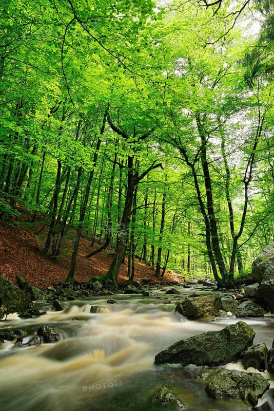 Hoegne stream