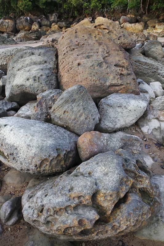 Beach with rocks and rainforest