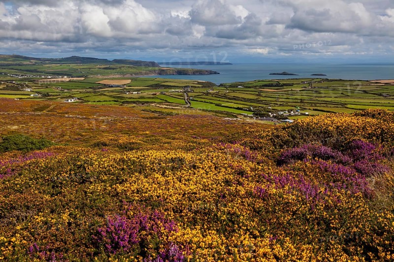 Braich y Pwll