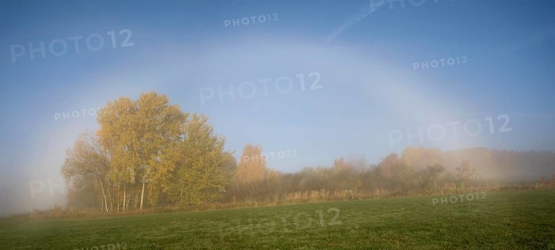 Autumn morning with Halo