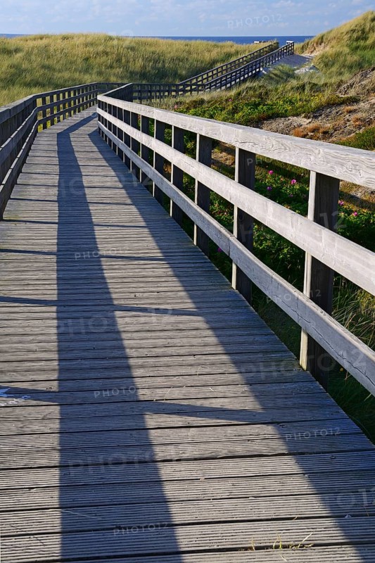 Boardwalk through the dunes to the beach of Kampen