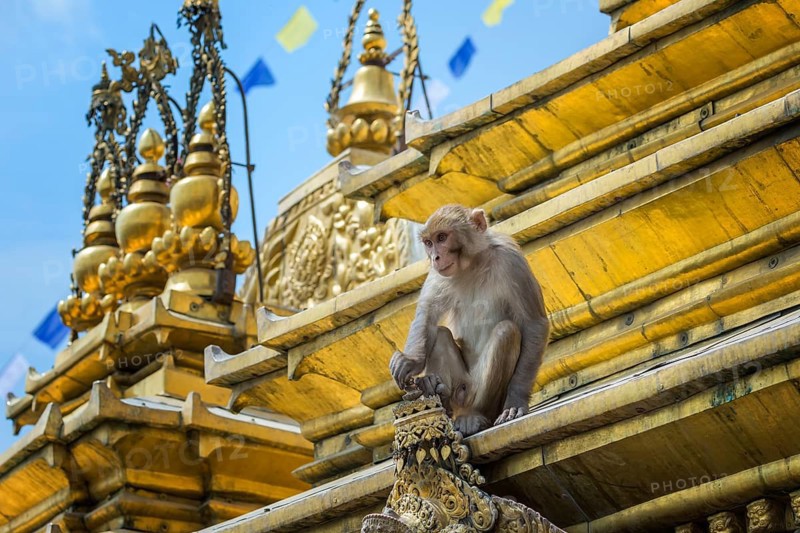 Kathmandu