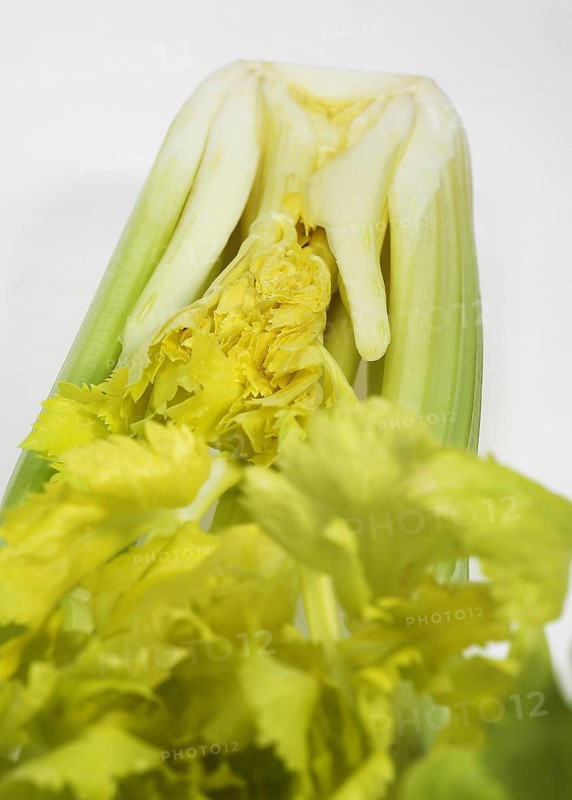 Celery