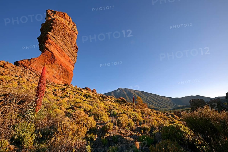 Roques de Garcia