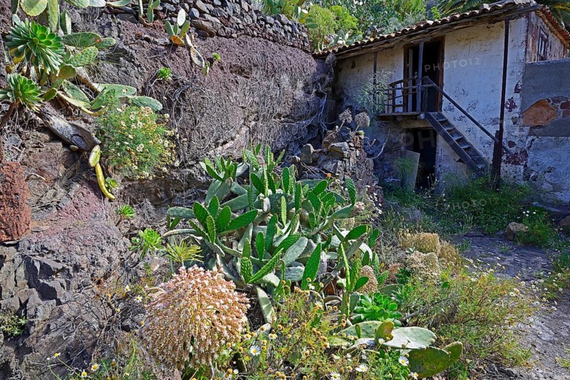 Morbid charm of dilapidated buildings in lonely mountain village