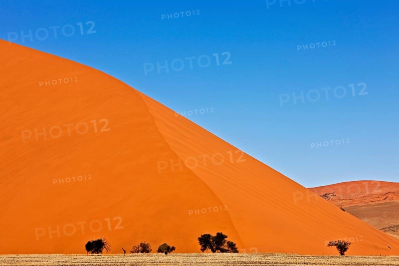 Namib Desert