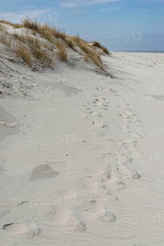 Dunes