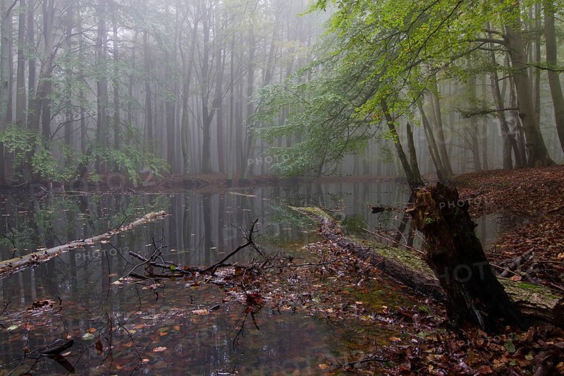 Jasmund National Park