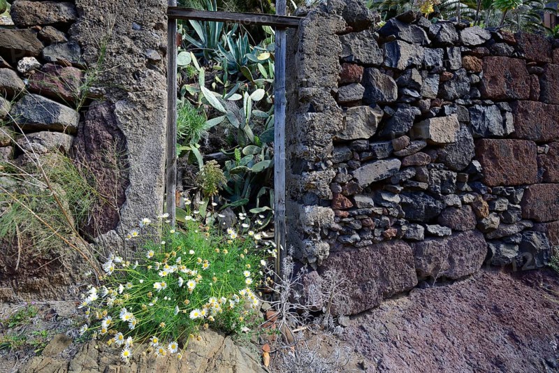 Morbid charm of dilapidated buildings in lonely mountain village