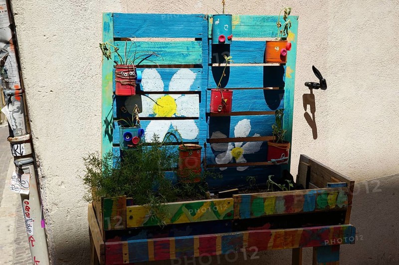 Urban Gardening