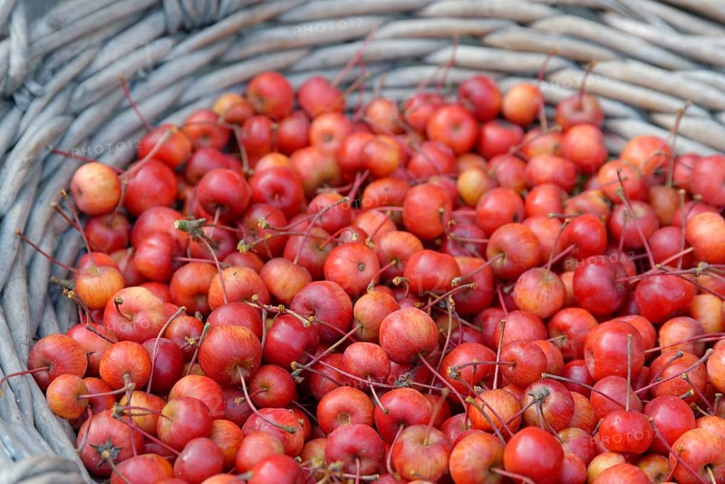 Fruits of the European crab apple