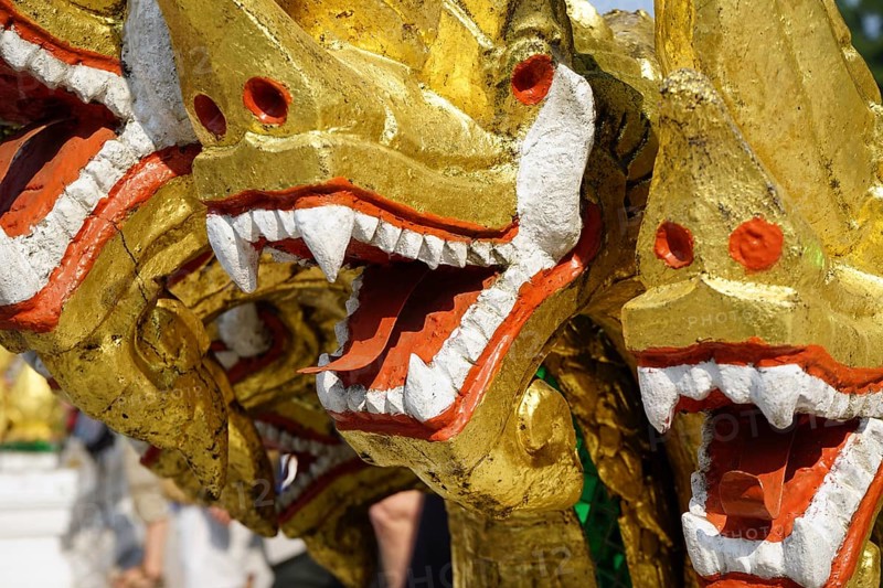 Golden Naga Heads