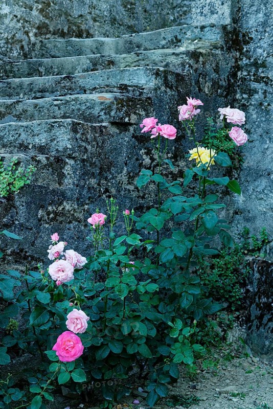 Stone stairs