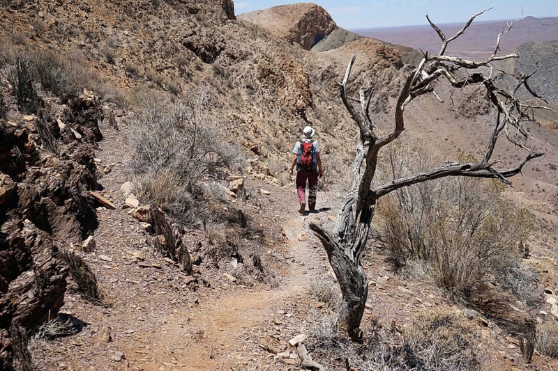 Hikers