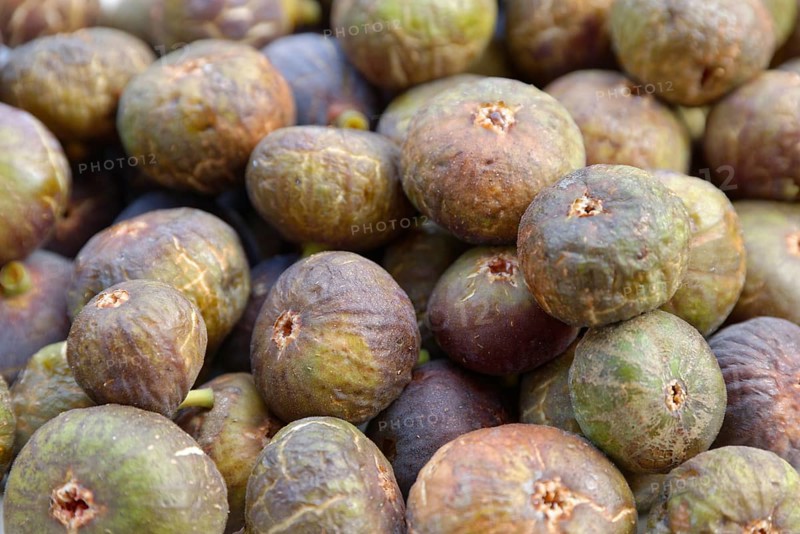Fresh common Common fig