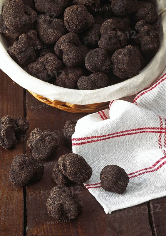 Perigord Truffle
