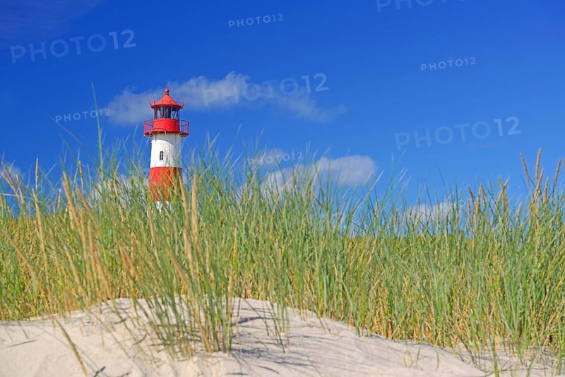 List West Lighthouse in the dunes at the elbow
