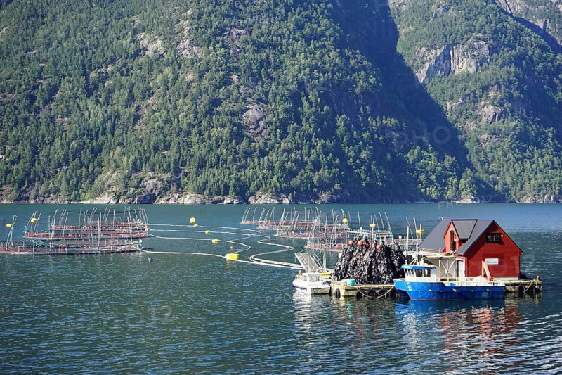 Maurangerfjord