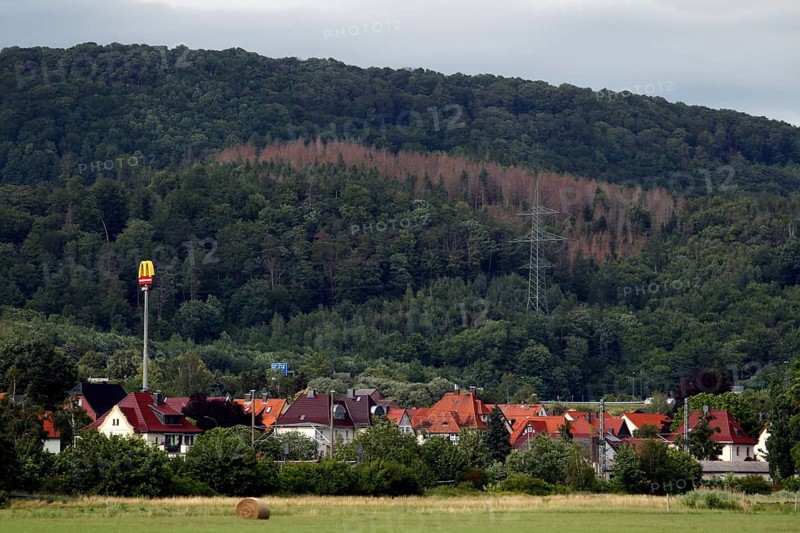View from Lauchroeden to Herleshausen