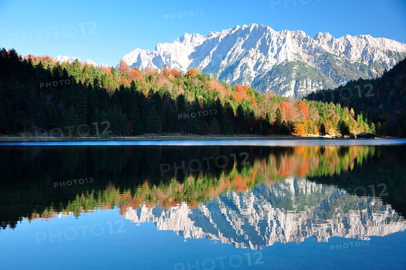 Autumn forest