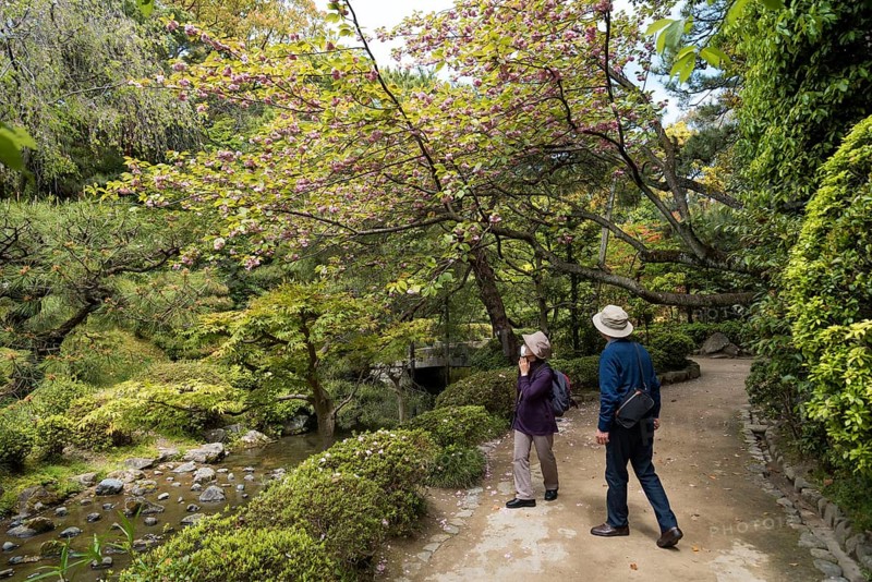 Visitors in the gardens of Heian Jingu Shrine