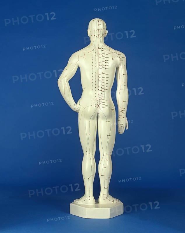 Man statuette shows acupuncture points