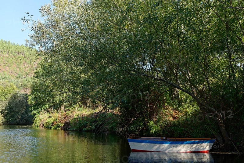 Small lake with rowing boat
