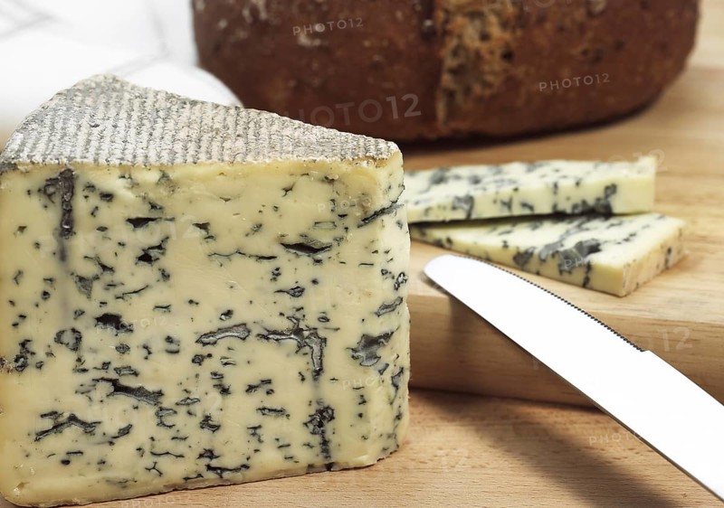 BLEU DES CAUSSES