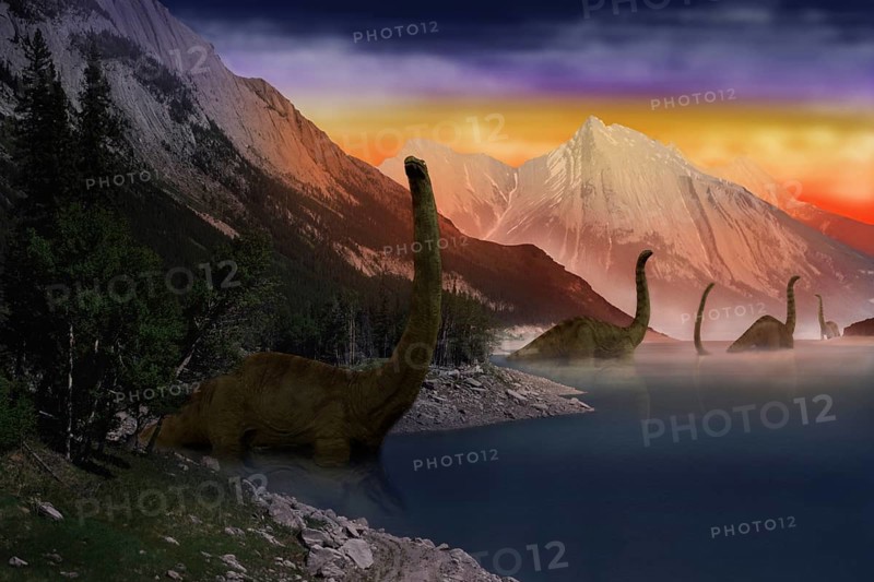 DIPLODOCUS