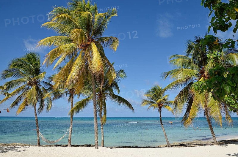 Tropical beach