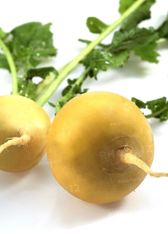 Golden Ball Turnip