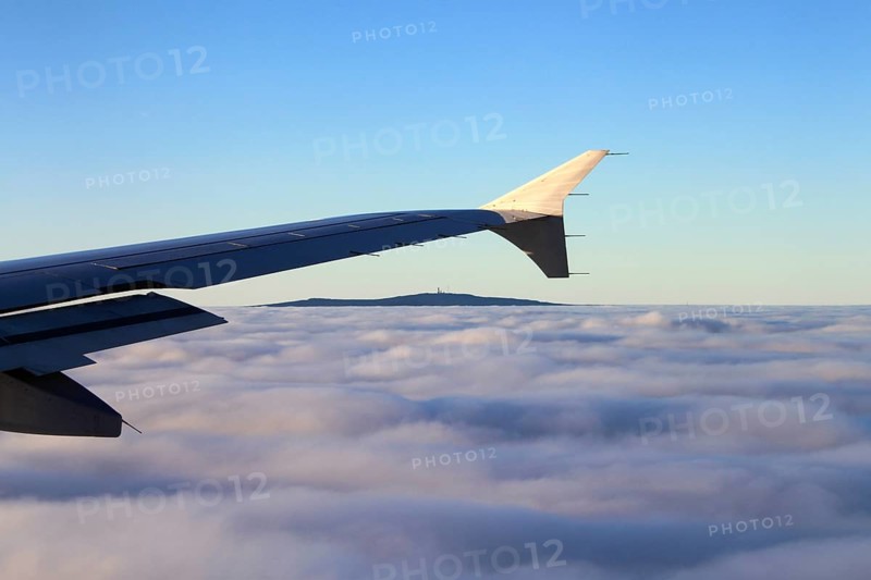 Aircraft wing